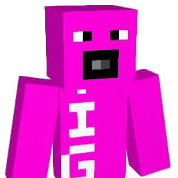 LoopZoop2 Minecraft avatar bust