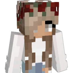 Loops_ Minecraft avatar bust