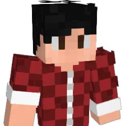 Loops_PT Minecraft avatar bust