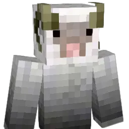 LordBoxTurtle's Minecraft skin