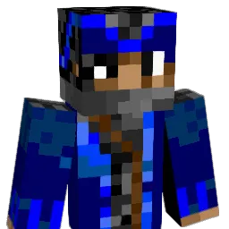 Losim_X
