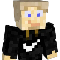 Losty557 Minecraft avatar bust