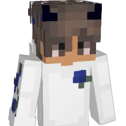 Loucash68 Minecraft avatar bust