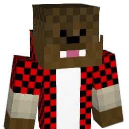 LouisHi11 Minecraft avatar bust