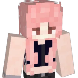 LoveS13 Minecraft avatar bust