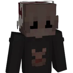 LowVision_'s Minecraft skin