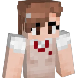Lsj537 Minecraft avatar bust