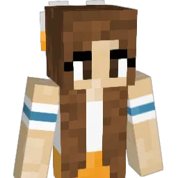 Lsw238 Minecraft avatar bust