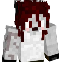 Lubeck Minecraft avatar bust