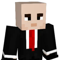 LucaWe2005 Minecraft avatar bust
