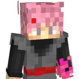 Lucaas1889 Minecraft avatar bust