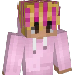Lucas2772 Minecraft avatar bust
