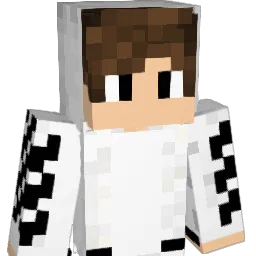 LucasAndrey20 Minecraft avatar bust