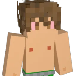 LucasRodgz Minecraft avatar bust