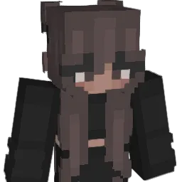 Lucasthecoolguy Minecraft avatar bust