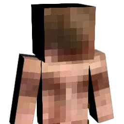 Lucasvdbgaming Minecraft avatar bust