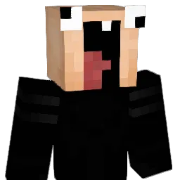 LuckyFox11 Minecraft avatar bust