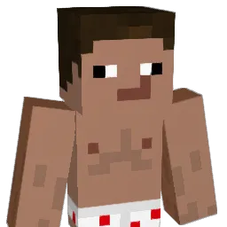 Ludenweich Minecraft avatar bust