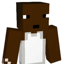 LuiseGamerCool23 Minecraft avatar bust