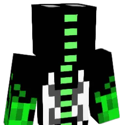 Lukas_2404 Minecraft avatar bust
