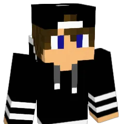 Lukas_385 Minecraft avatar bust