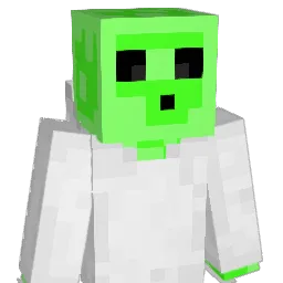 Lukas_Gamer1000 Minecraft avatar bust