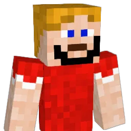 LukasbontvedEr17 Minecraft avatar bust