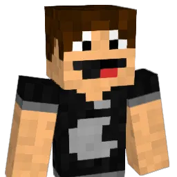 Lukasx_217 Minecraft avatar bust