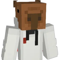 Lunizim Minecraft avatar bust