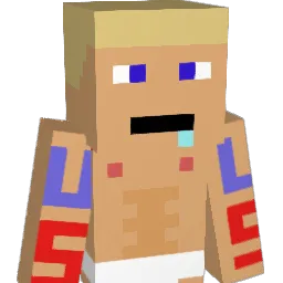 Lxv1 Minecraft avatar bust