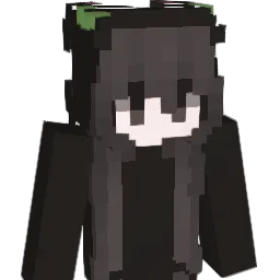 LynRunsU