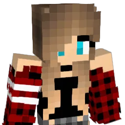 Lynash113 Minecraft avatar bust