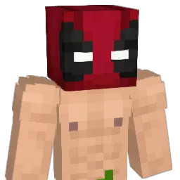 Lynkubus Minecraft avatar bust