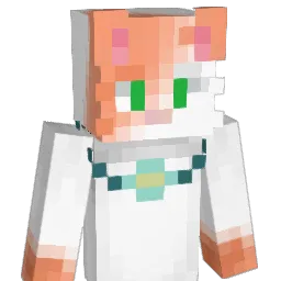 M3d1Vak Minecraft avatar bust