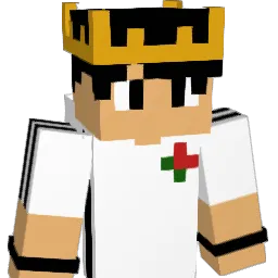 M3rlin13_ Minecraft avatar bust