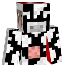 MATTHEWDRAGON04 Minecraft avatar bust