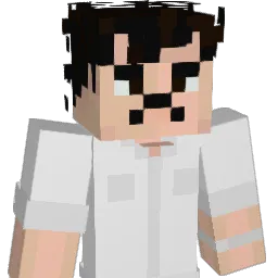 MAXSTER250 Minecraft avatar bust