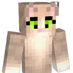 MAZN20 Minecraft avatar bust