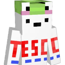 MCDUCKTDM Minecraft avatar bust
