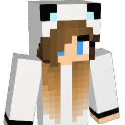 MCDragon1010 Minecraft avatar bust