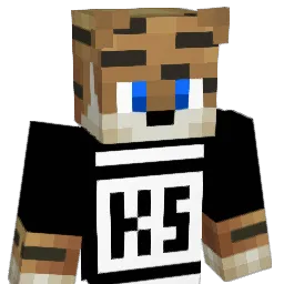 MC_HeroCraft Minecraft avatar bust