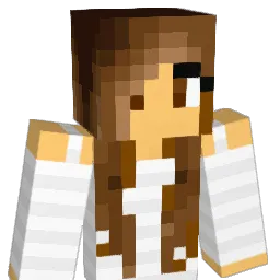 MEGS2002 Minecraft avatar bust