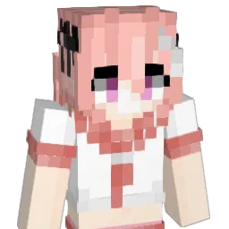 MEMESER