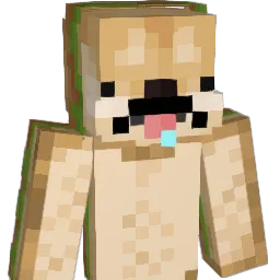 MEXI505050 Minecraft avatar bust
