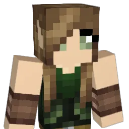 MH344 Minecraft avatar bust