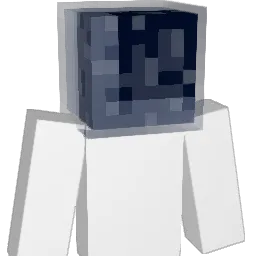 MHSsss