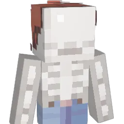 MIDNIGHT_G4M3R Minecraft avatar bust