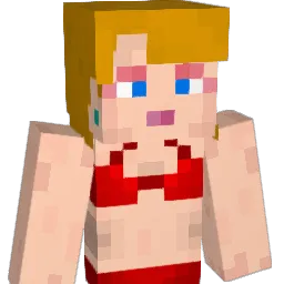 MIN_9999 Minecraft avatar bust