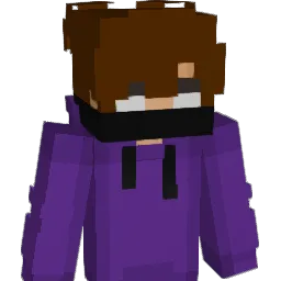 MMA4050 Minecraft avatar bust