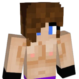 MRAliBee Minecraft avatar bust